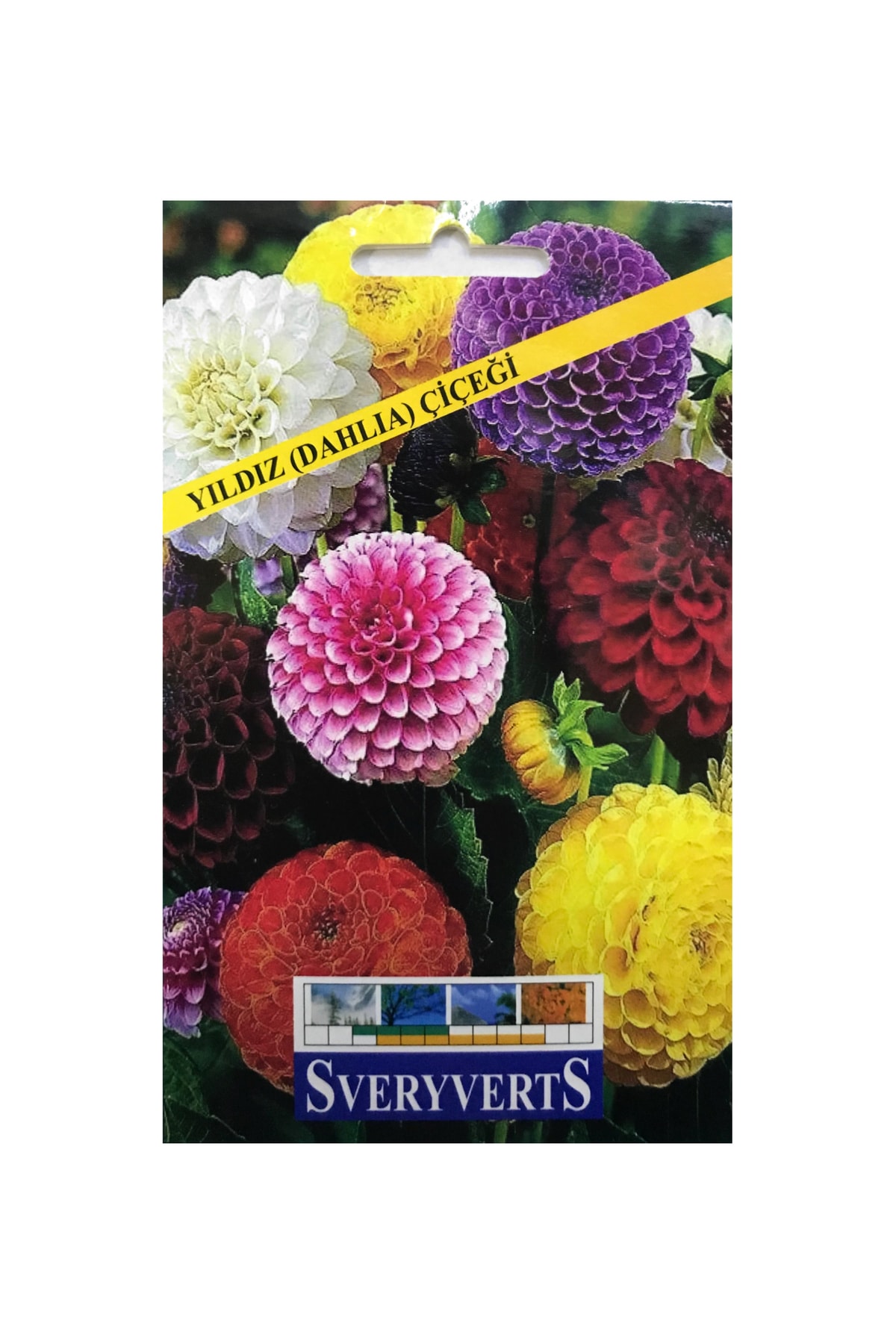 İKB FİDE VE TOHUM Yıldız Çiçeği Tohumu 4047ASDAS