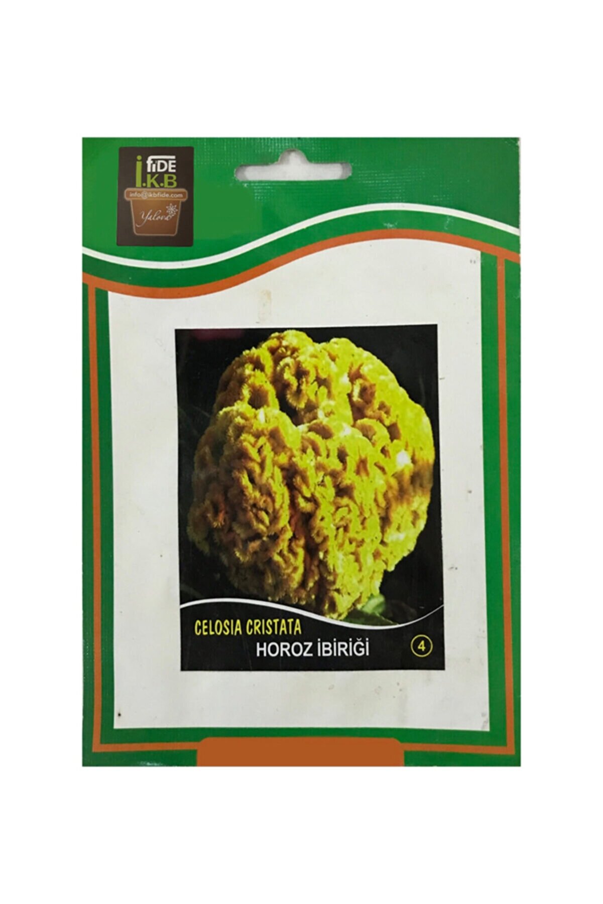 İKB FİDE Horoz Ibiği Çiçeği Tohumu KBTHM50