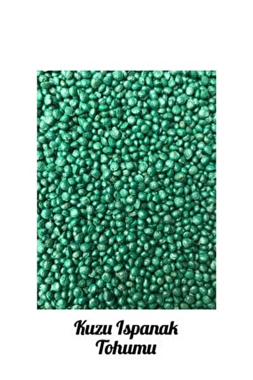 İKB FİDE VE TOHUM Ispanak Tohumu Kuzu 3039MK