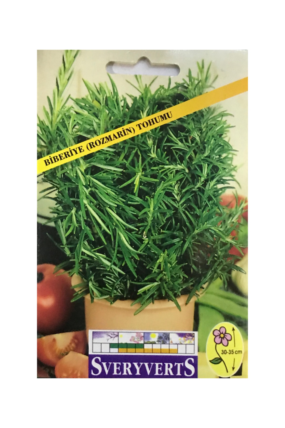 İKB FİDE VE TOHUM Biberiye Rozmarin Tohumu 4028EE