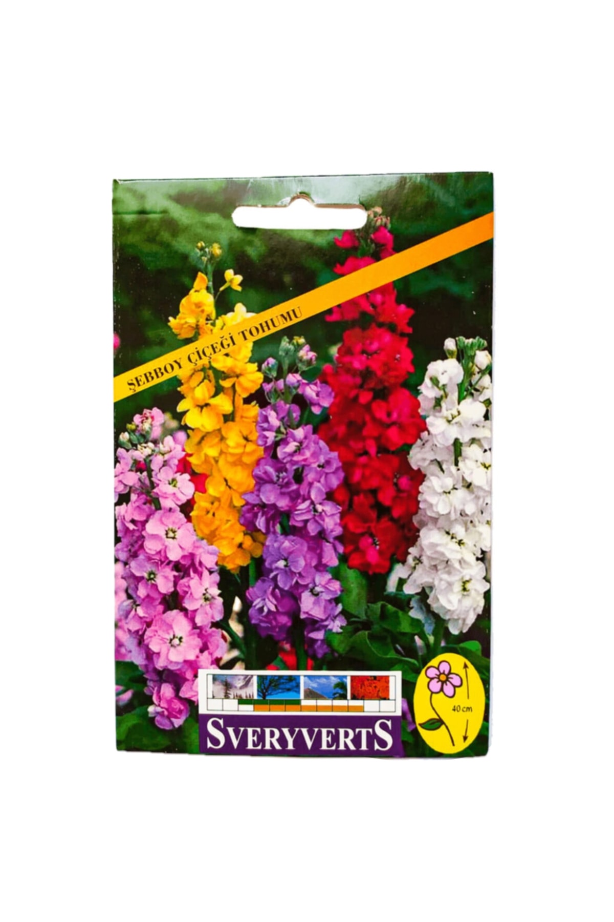 İKB FİDE VE TOHUM Şebboy Çiçeği Tohumu 4049DDDA