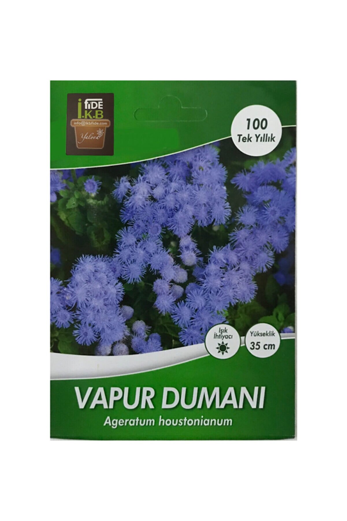 İKB FİDE Vapur Dumanı Çiçeği Tohumu KBTHM6