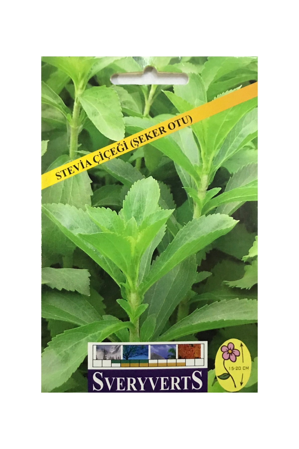 İKB FİDE VE TOHUM Stevia Çiçeği Tohumu Şeker Otu 4034MM