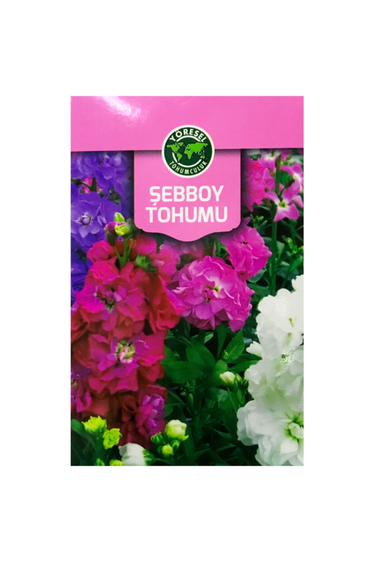 İKB FİDE Şebboy Tohumu KCB0958