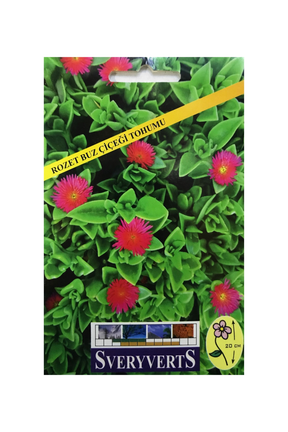 İKB FİDE VE TOHUM Rozet Buz Çiçeği Tohumu 4025BBBB