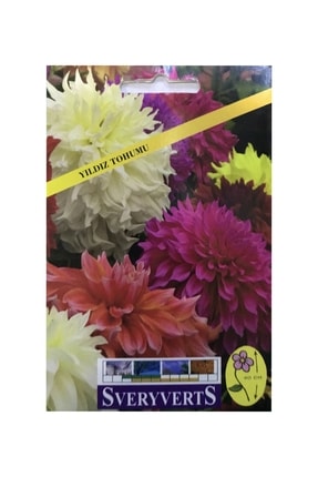 İKB FİDE VE TOHUM Yıldız Çiçeği Tohumu 4038ASD