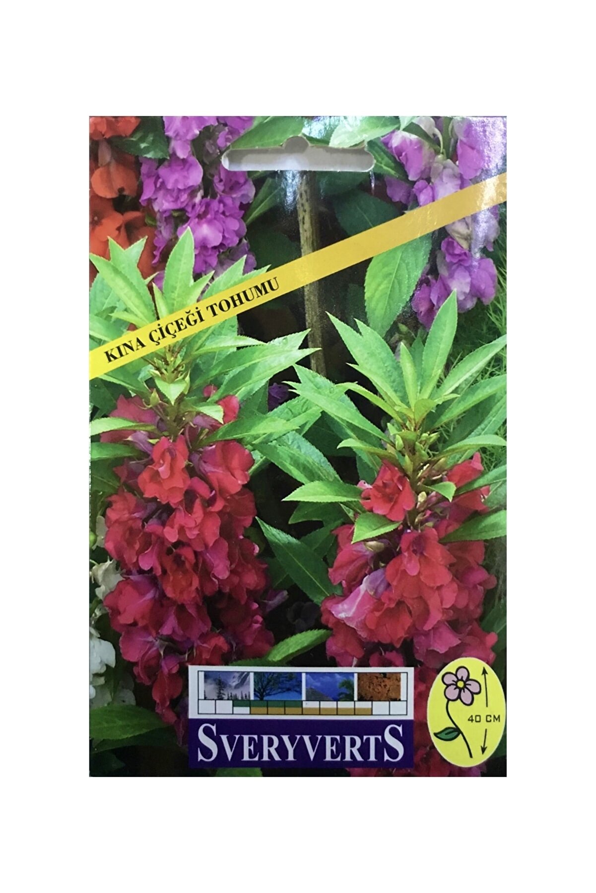 İKB FİDE VE TOHUM Kına Çiçeği Tohumu 3997ED