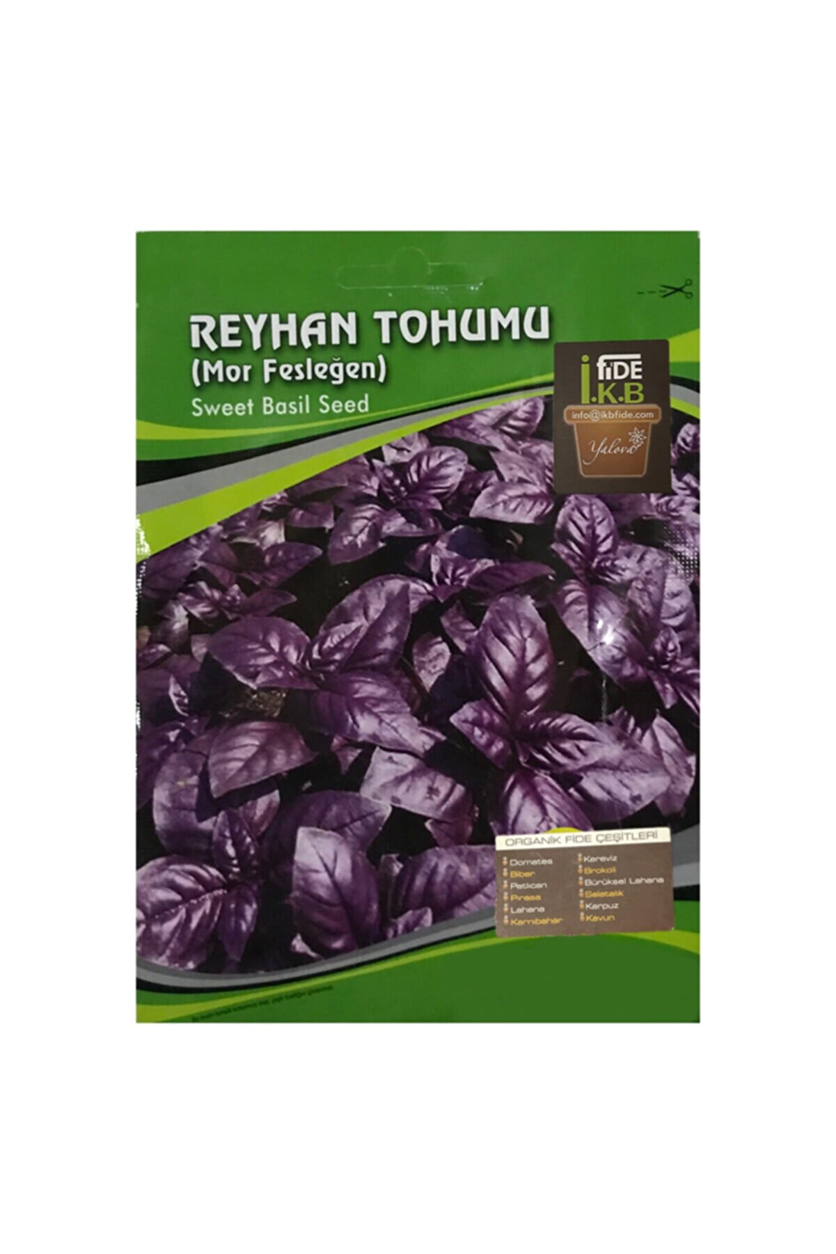 İKB FİDE Mor Fesleğen Organik Reyhan Tohumu KBTHM66