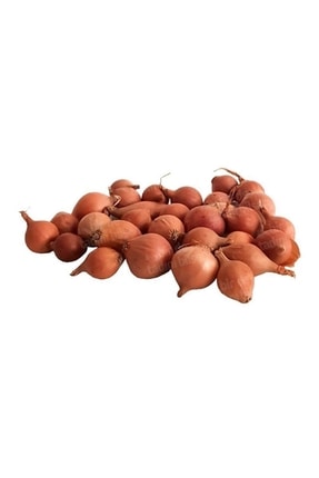 İKB FİDE VE TOHUM Arpacık Soğan 2 Kg Karacabey Beyaz 2 No (büyük-orta Boy) 