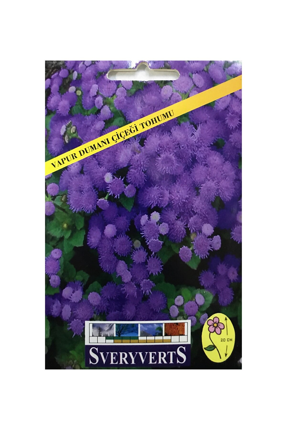 İKB FİDE VE TOHUM Vapur Dumanı Çiçeği Tohumu 4041DASDAS