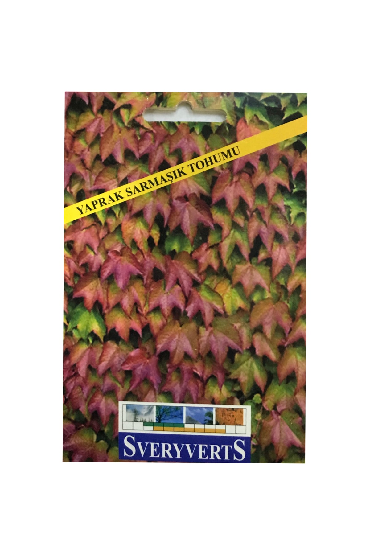 İKB FİDE VE TOHUM Yaprak Sarmaşık Tohumu 4011MNBNM