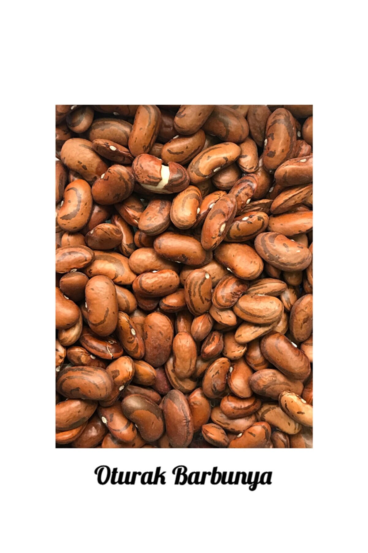 İKB FİDE VE TOHUM Oturak Barbunya Tohumu 7533AA