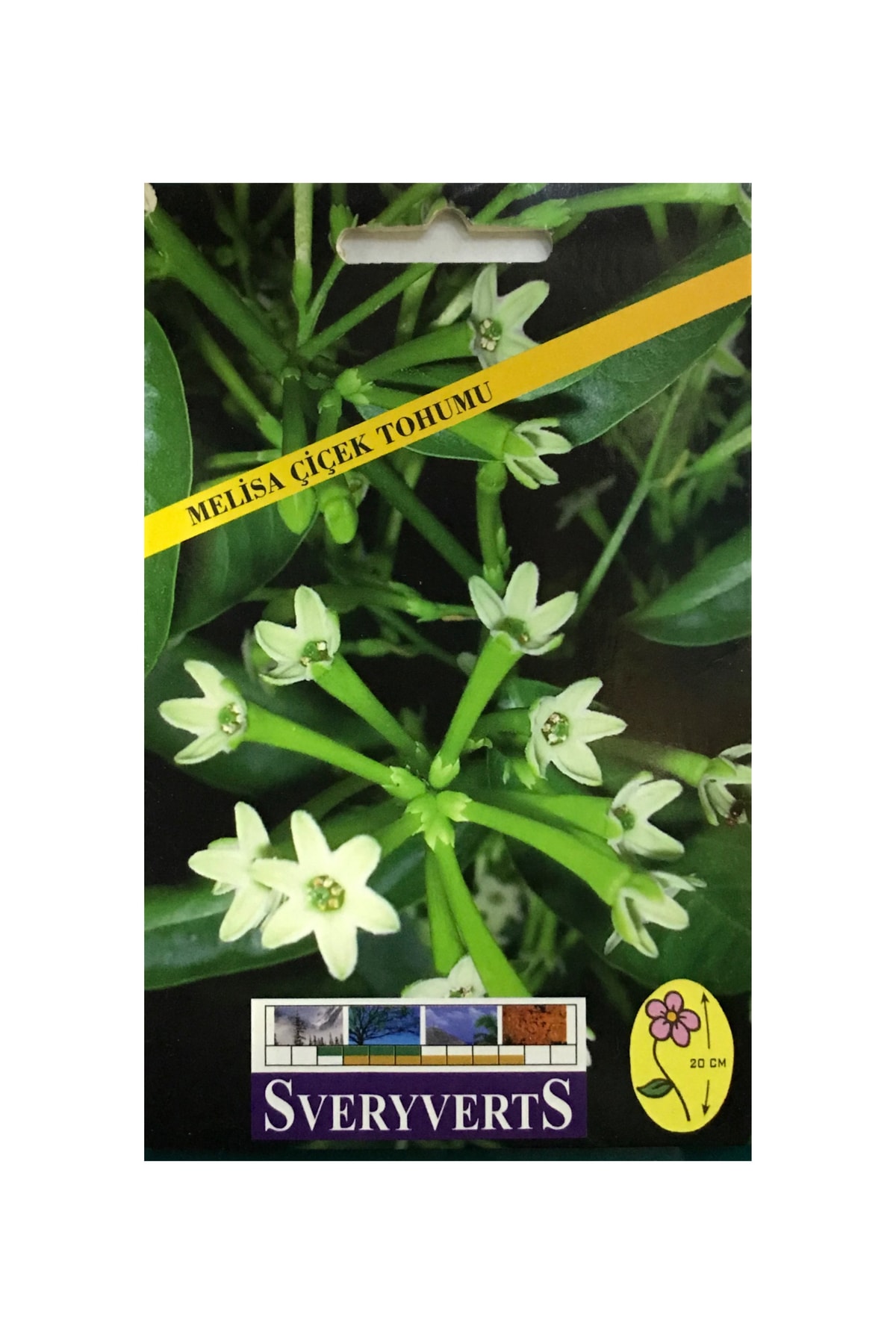 İKB FİDE VE TOHUM Melisa Çiçeği Tohumu 4014AE