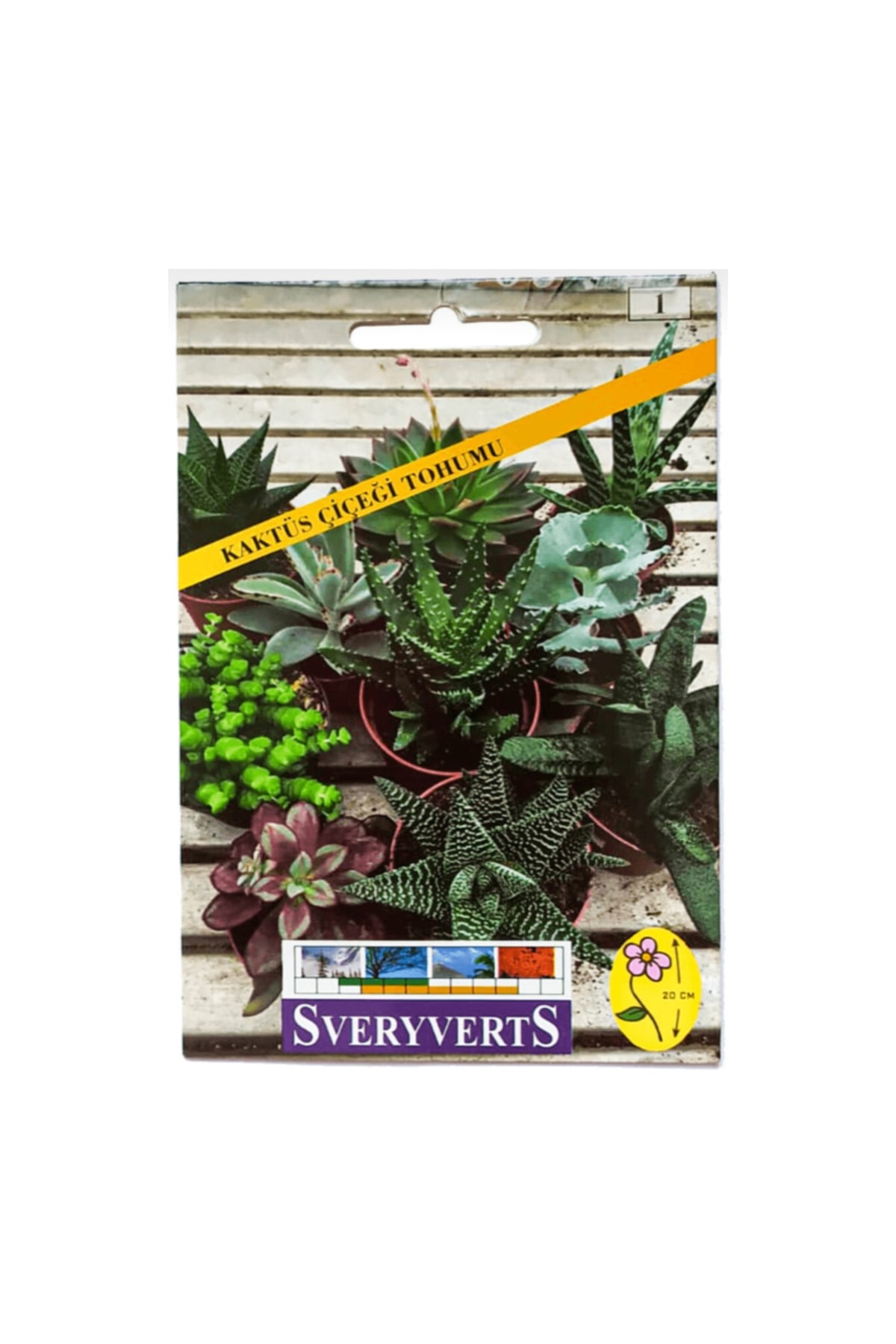 İKB FİDE VE TOHUM Kaktüs Çiçeği Tohumu 4040DSDA