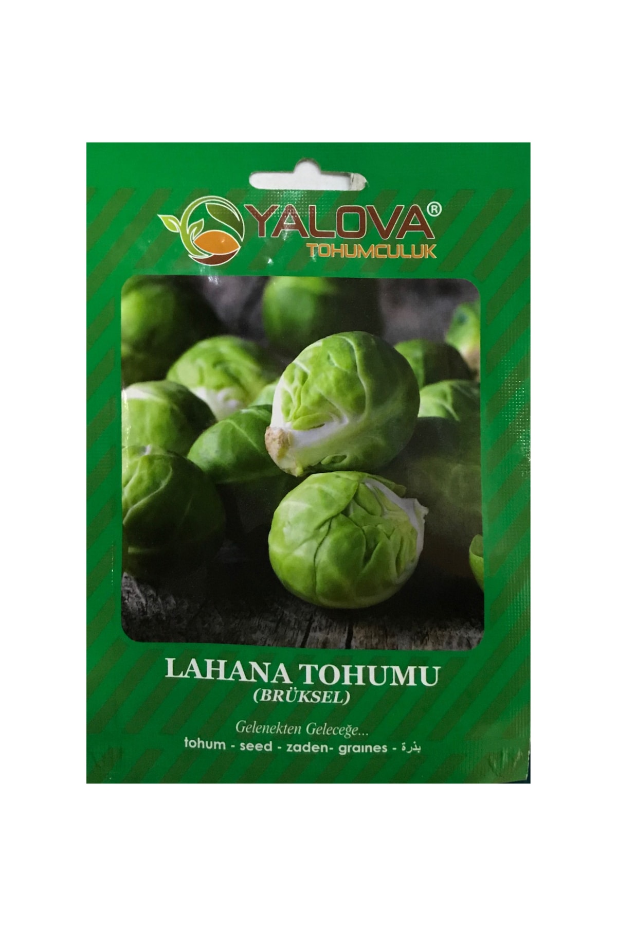 İKB FİDE VE TOHUM Brüksel Lahana Tohumu 4046ASDSA