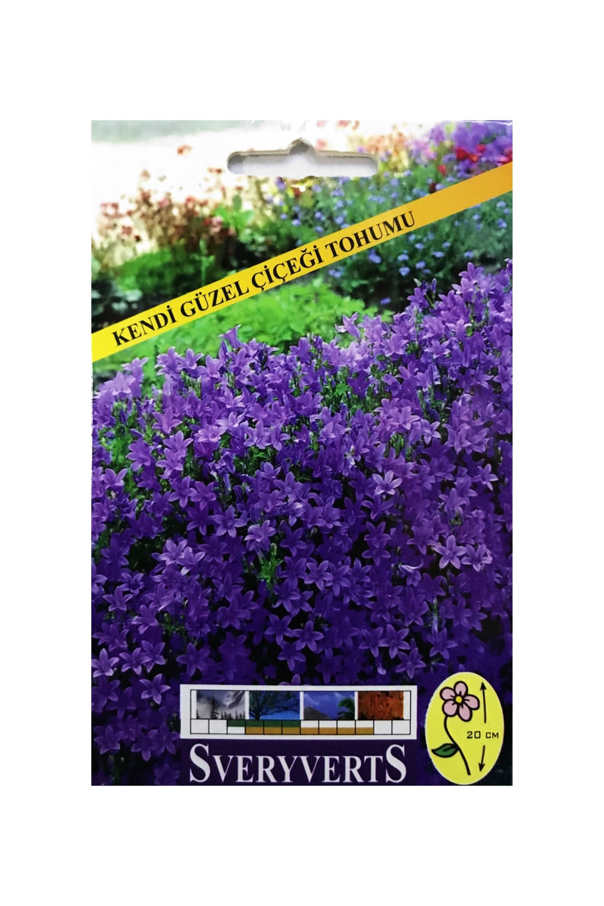 İKB FİDE VE TOHUM Kendi Güzel Çiçeği Tohumu 4031EE