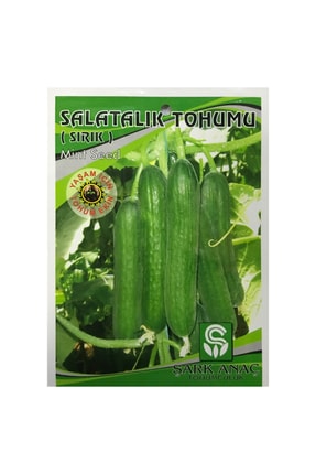 İKB FİDE VE TOHUM Salatalık Tohumu Sırık 4009BNB