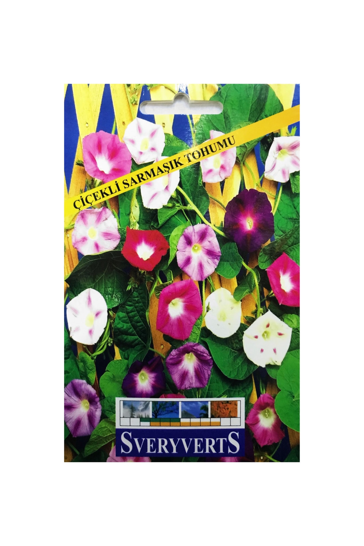 İKB FİDE VE TOHUM Çiçekli Sarmaşık Tohumu 3992ACSS