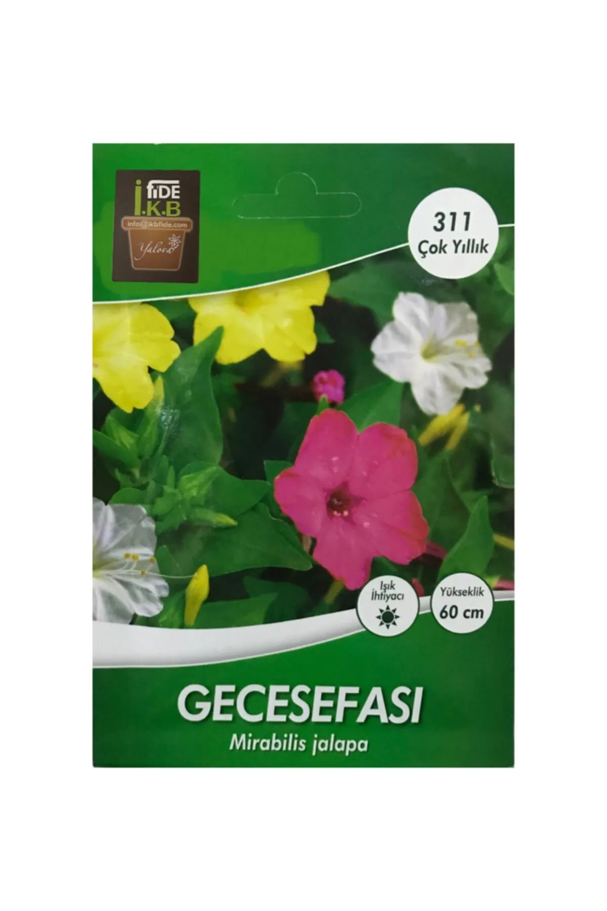 İKB FİDE Gecesefası Çiçeği Tohumu KBTHM82