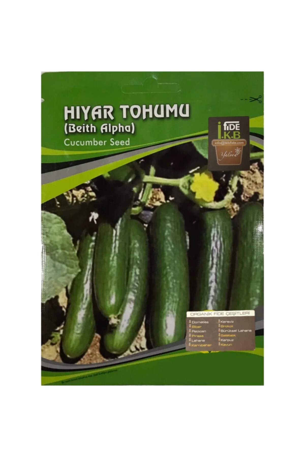 İKB FİDE Organik Salata Tohumu Beith Alpha KBTHM20