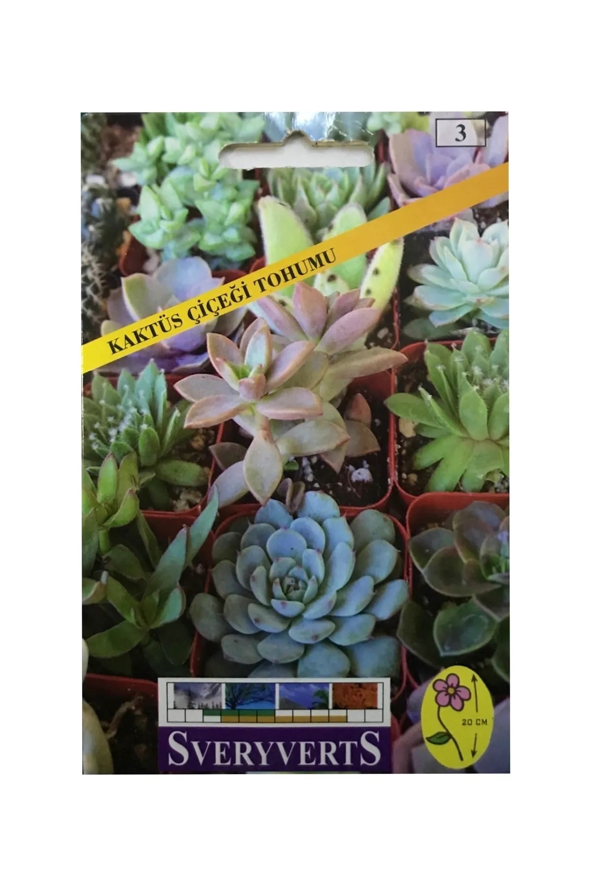 İKB FİDE VE TOHUM Kaktüs Çiçeği Tohumu 4044DASDAS