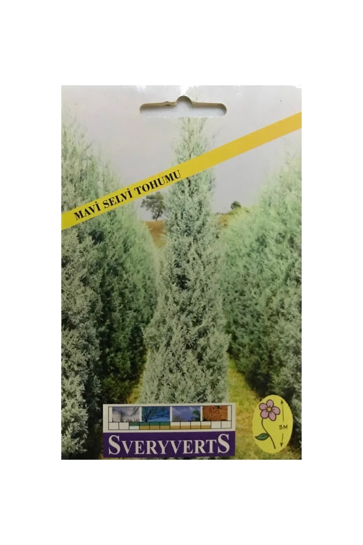 İKB FİDE VE TOHUM Mavi Selvi Tohumu 4022CCC