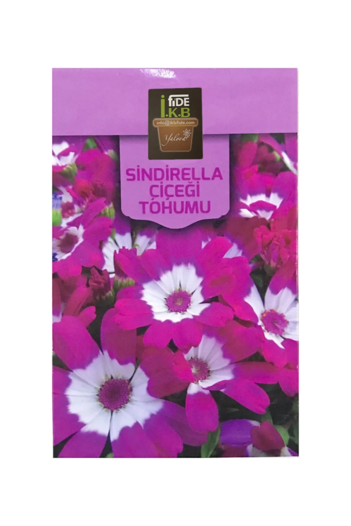 İKB FİDE Sindirella Çiçeği Tohumu KBTHM84
