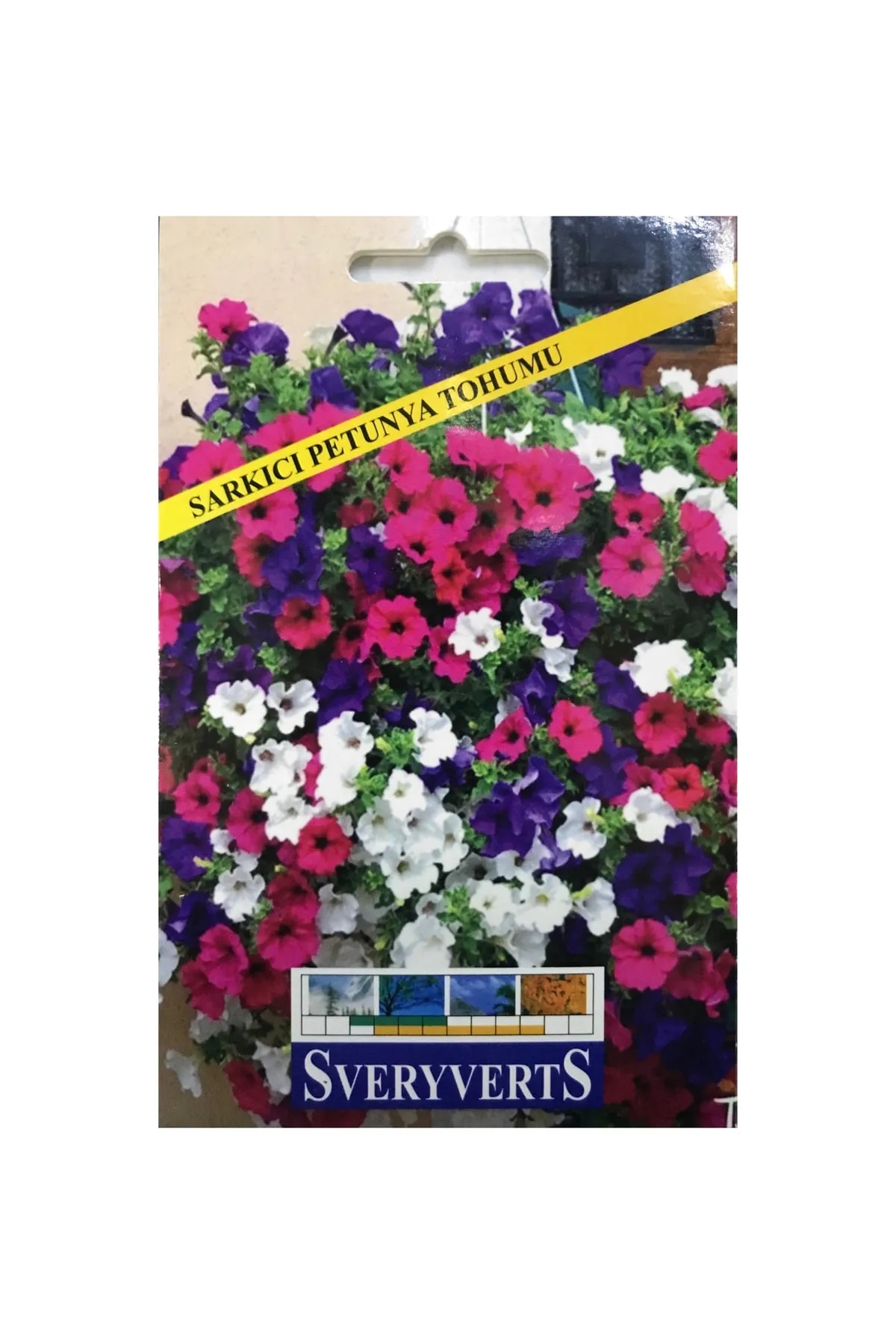 İKB FİDE VE TOHUM Sarkıcı Petunya Tohumu 3998SD