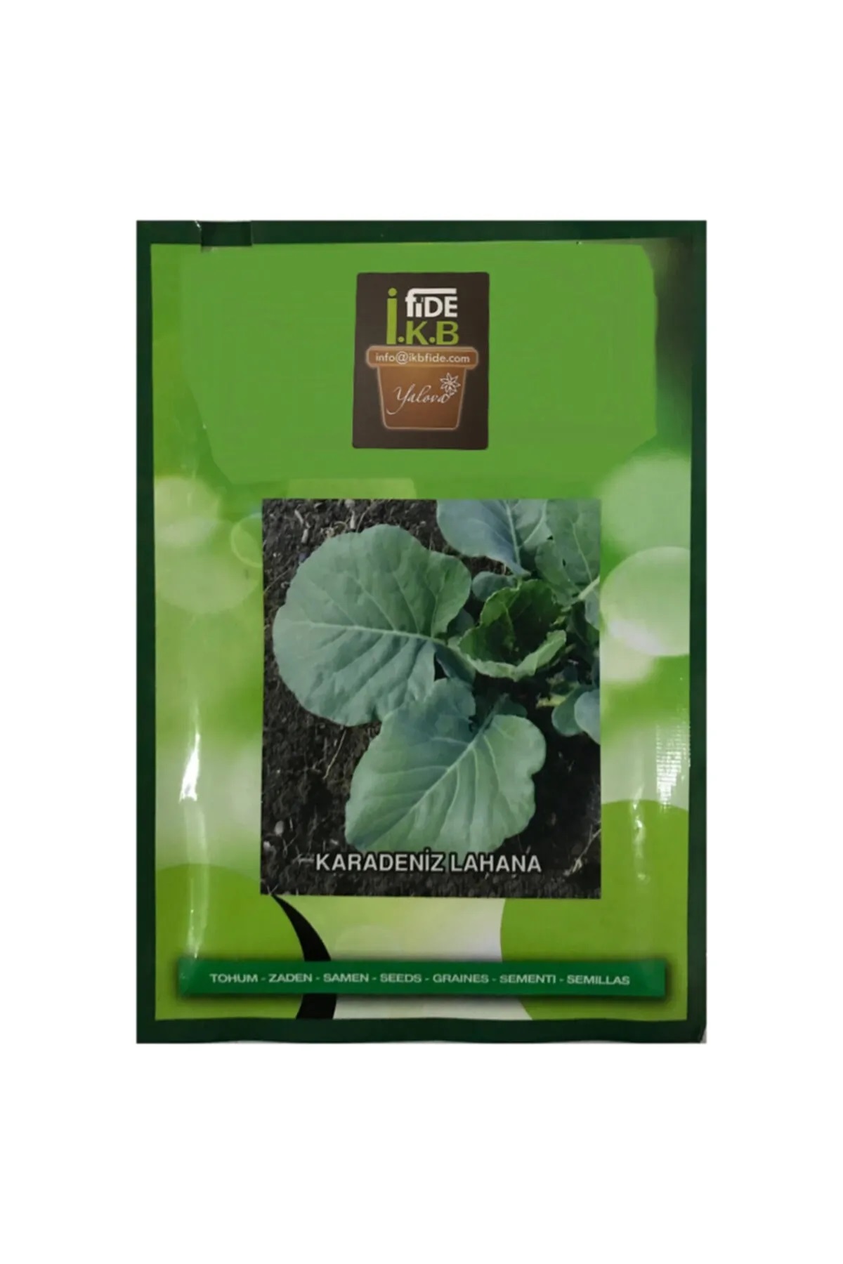 İKB FİDE Organik Karadeniz Lahana Tohumu KBTHM40