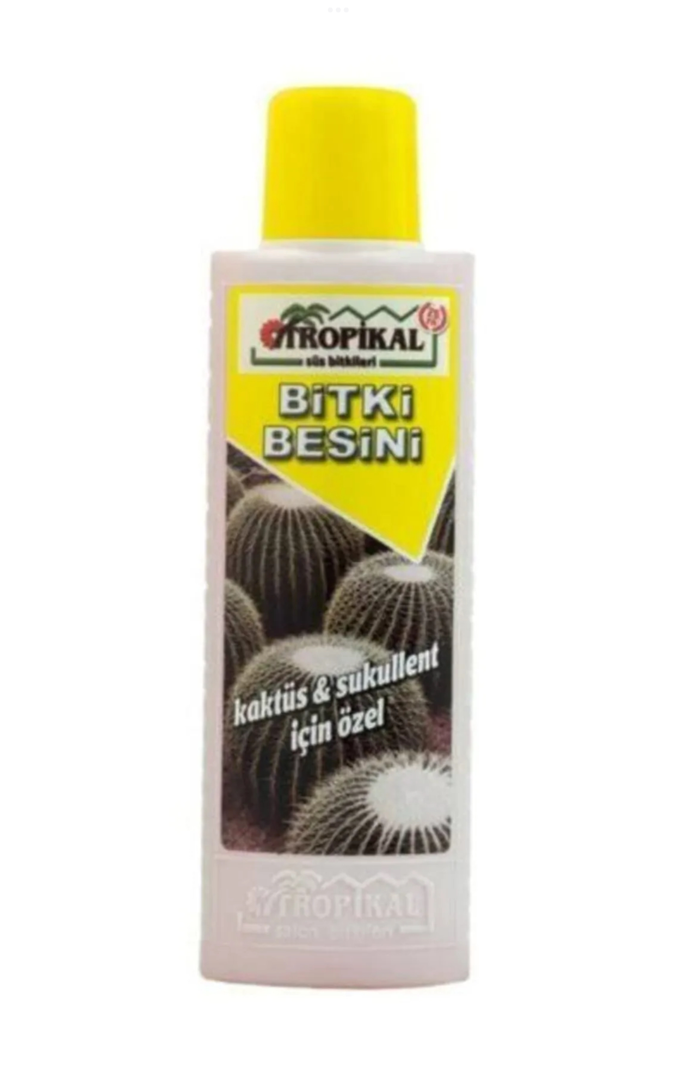 Bitki Besini Kaktüs için